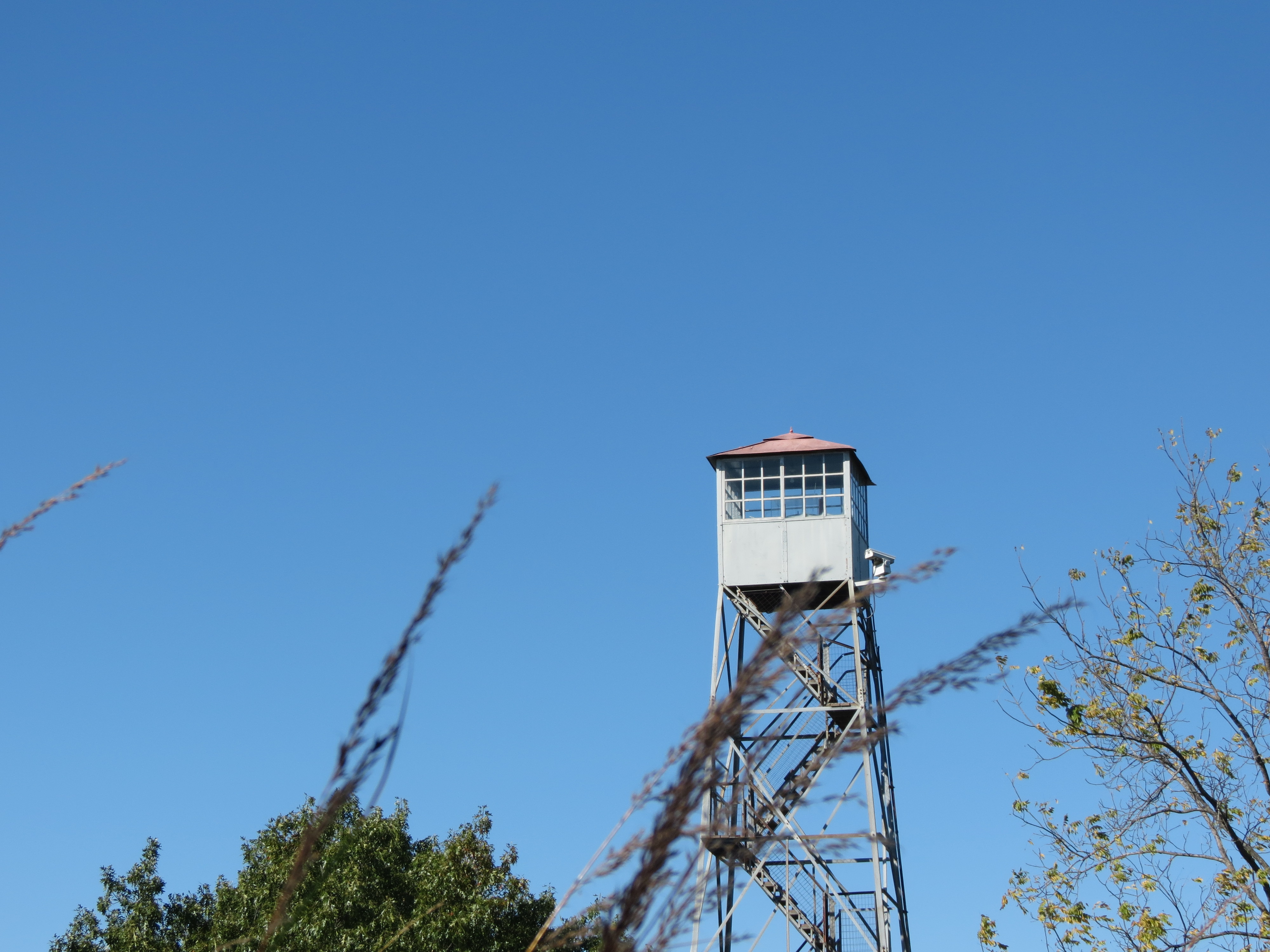 A view of the top half of the Runge lookout tower from across the praire field.