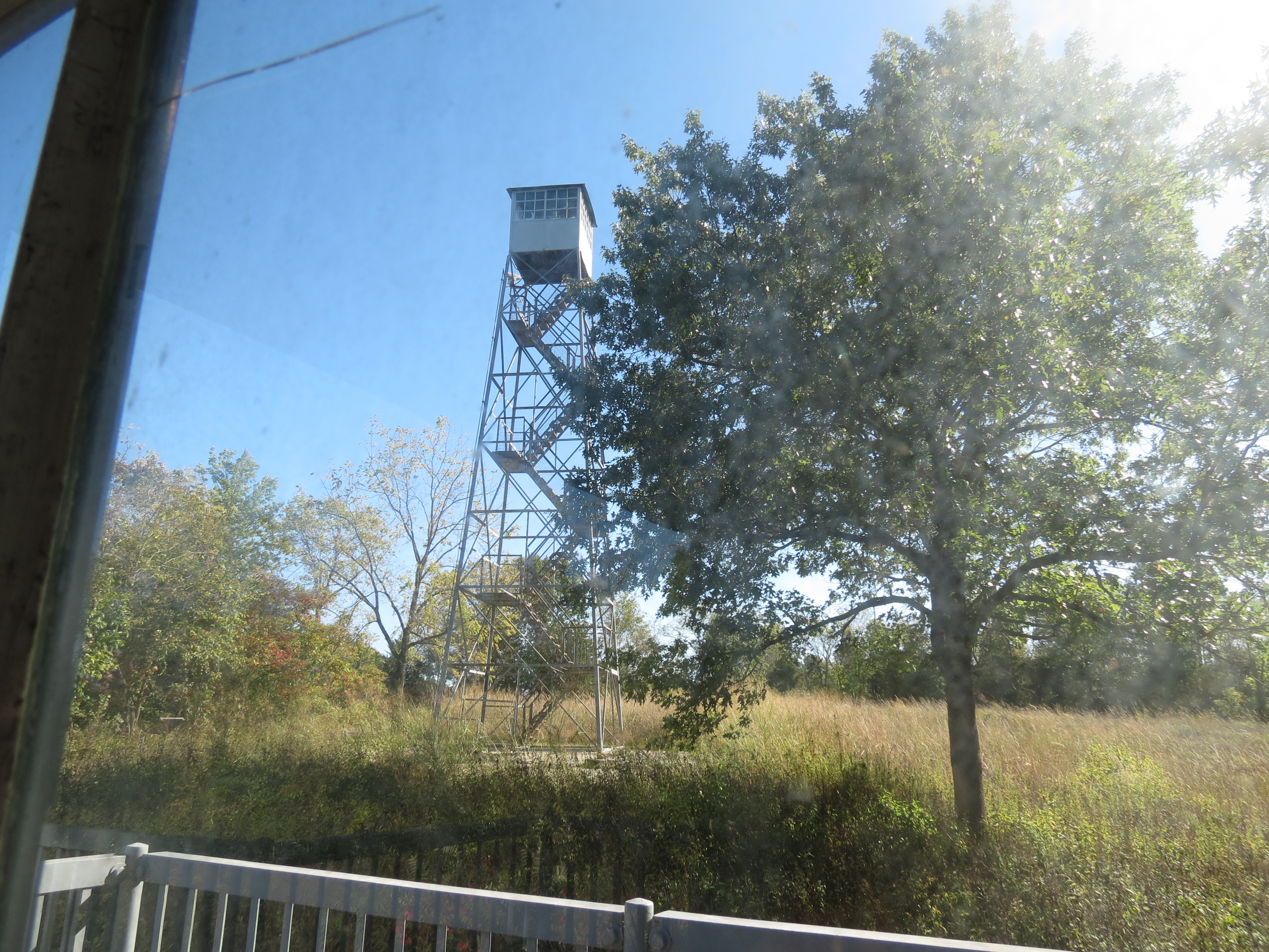 The Runge lookout tower and a tree through a window. 