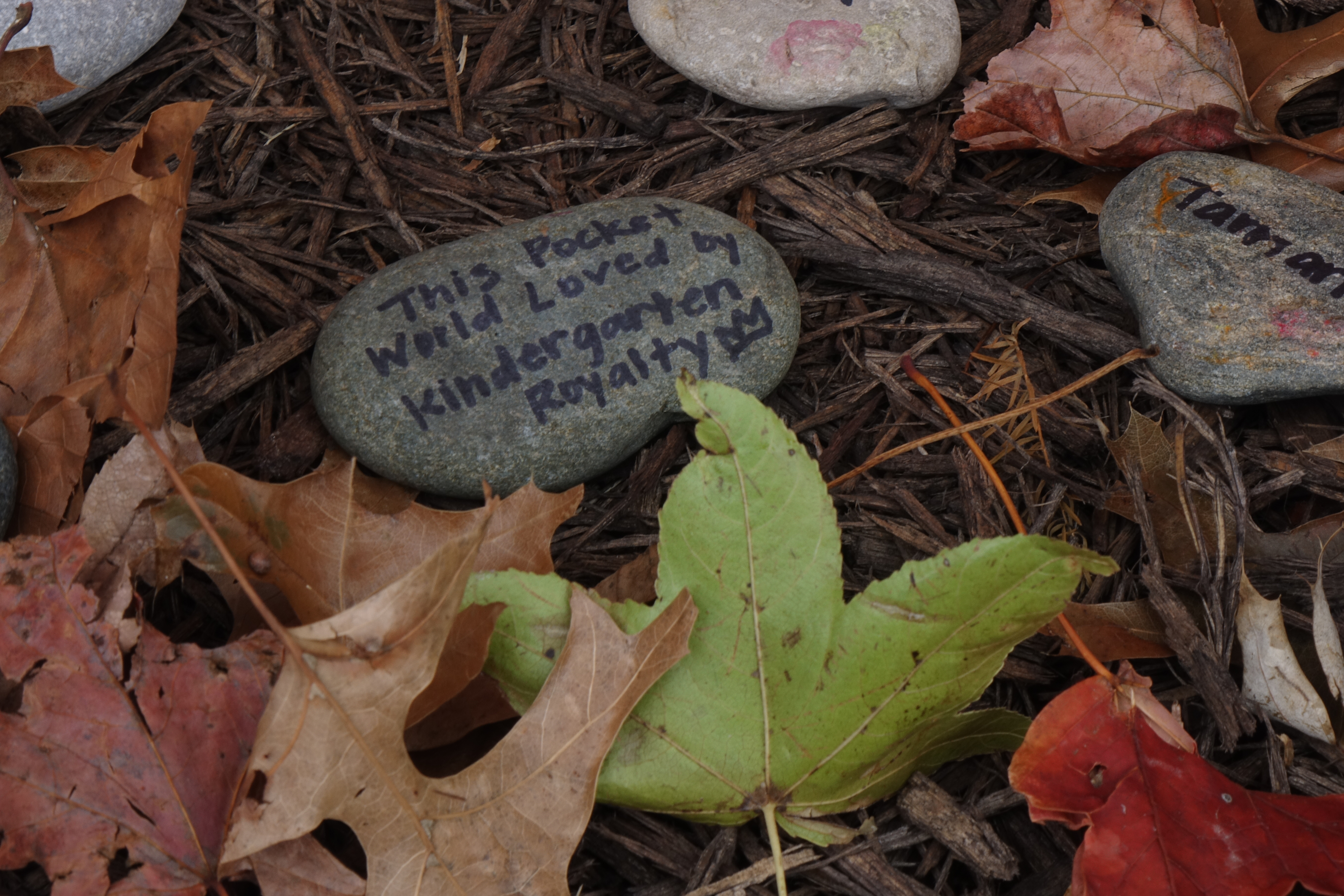 A closeup of a stone that has the words, this pocket world loved by kindergartern royalty, written in Sharpie marker. The stone is on top of a pile of fall leaves.